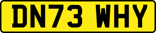 DN73WHY