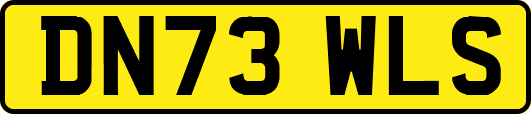DN73WLS