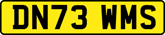 DN73WMS