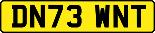 DN73WNT