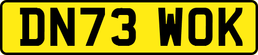 DN73WOK