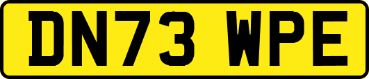 DN73WPE
