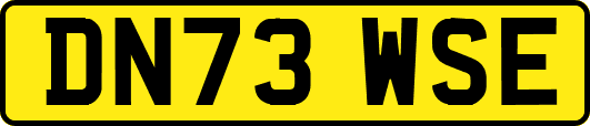 DN73WSE