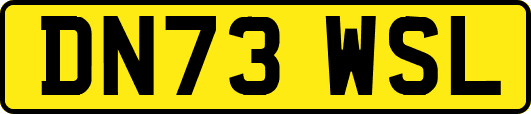 DN73WSL
