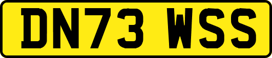 DN73WSS