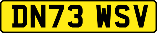 DN73WSV