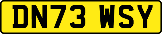 DN73WSY