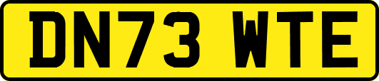 DN73WTE