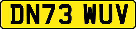 DN73WUV