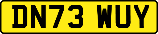 DN73WUY