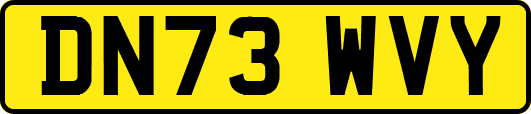 DN73WVY