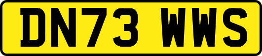 DN73WWS