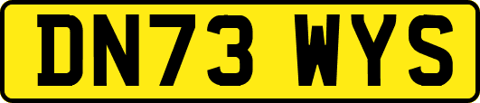 DN73WYS