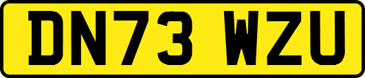 DN73WZU