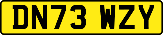 DN73WZY