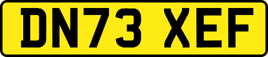 DN73XEF