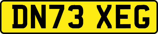 DN73XEG