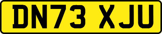 DN73XJU