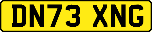 DN73XNG
