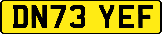 DN73YEF