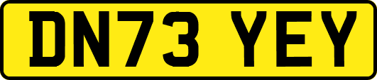 DN73YEY