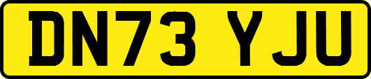 DN73YJU