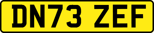 DN73ZEF