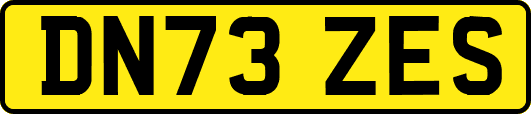 DN73ZES
