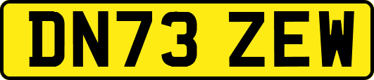 DN73ZEW