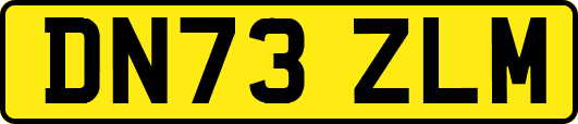 DN73ZLM