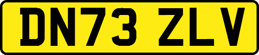 DN73ZLV