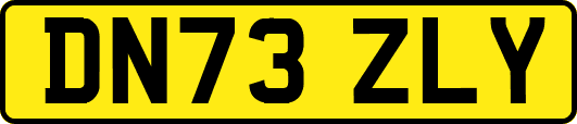 DN73ZLY