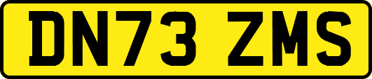 DN73ZMS
