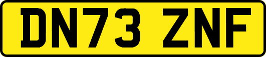 DN73ZNF