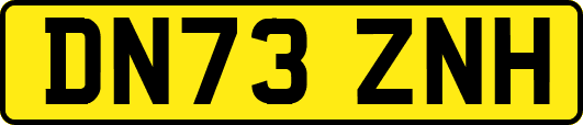 DN73ZNH