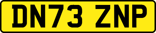 DN73ZNP