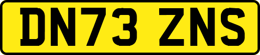 DN73ZNS