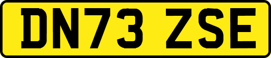 DN73ZSE