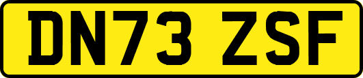 DN73ZSF