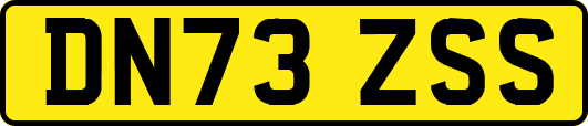 DN73ZSS
