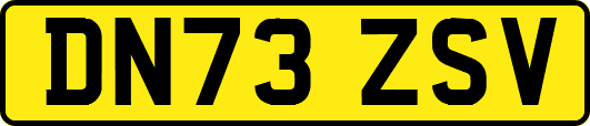 DN73ZSV