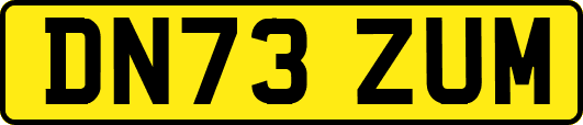 DN73ZUM
