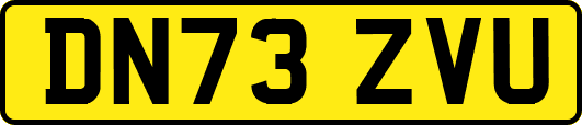 DN73ZVU