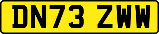 DN73ZWW