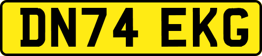 DN74EKG