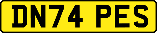 DN74PES