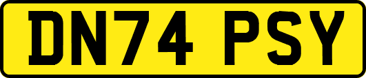 DN74PSY