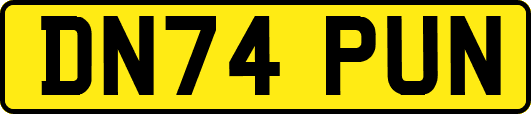 DN74PUN