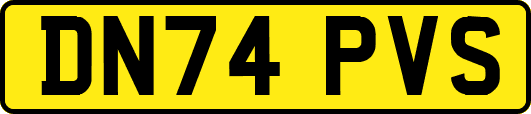 DN74PVS