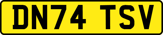 DN74TSV